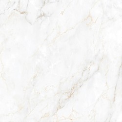 PI 74X74 PPI70000R RT TIPO A 2,19M²  INCEFRA