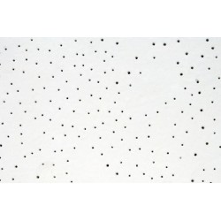 FORRO MINERAL ECOMIN FILIGRAN 1250x625X13MM