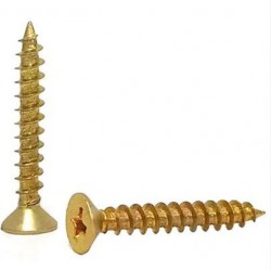 PARAF CH PHS FIXER RP BICRO 5,0X80