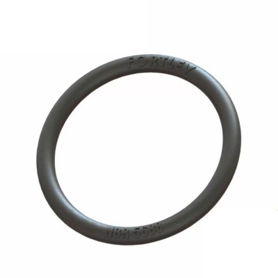 Anel Vedacao Esg 040 Fortlev