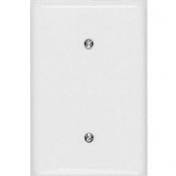 PLACA CEGA 4X2 S/SUP STYLUS ILUMI