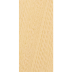 PORTA LISA PINTURA 210X80